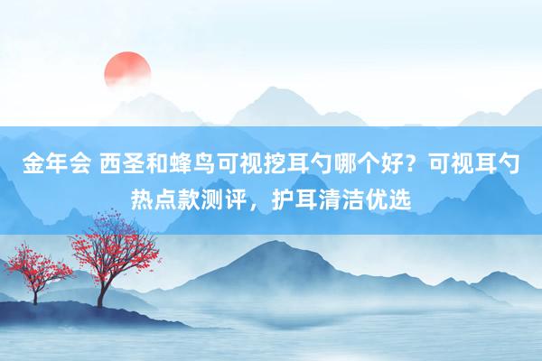 金年会 西圣和蜂鸟可视挖耳勺哪个好？可视耳勺热点款测评，护耳清洁优选