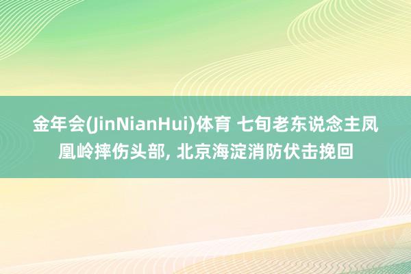 金年会(JinNianHui)体育 七旬老东说念主凤凰岭摔伤头部， 北京海淀消防伏击挽回