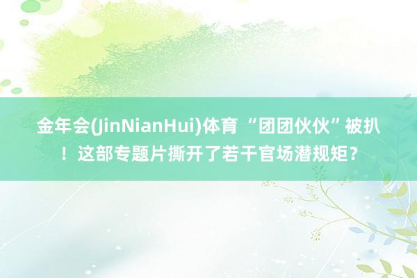 金年会(JinNianHui)体育 “团团伙伙”被扒！这部专题片撕开了若干官场潜规矩？