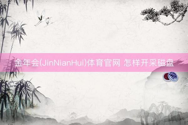 金年会(JinNianHui)体育官网 怎样开采磁盘
