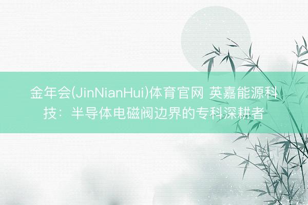 金年会(JinNianHui)体育官网 英嘉能源科技：半导体电磁阀边界的专科深耕者