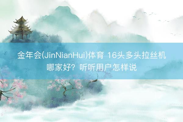 金年会(JinNianHui)体育 16头多头拉丝机哪家好?听听用户怎样说