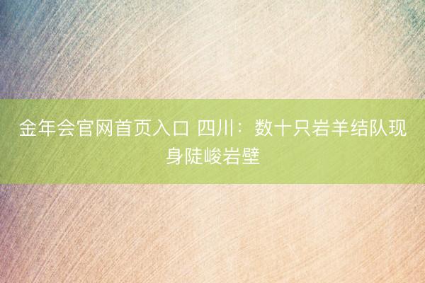 金年会官网首页入口 四川：数十只岩羊结队现身陡峻岩壁