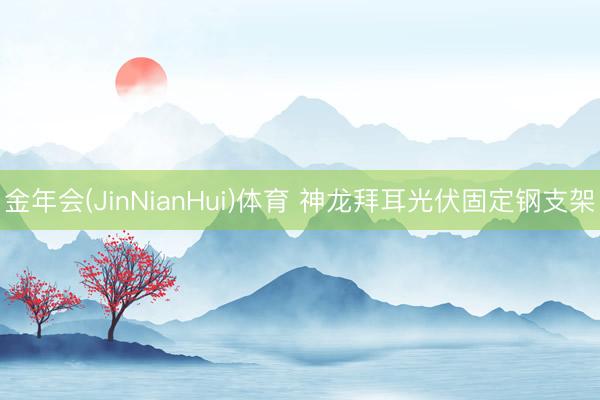 金年会(JinNianHui)体育 神龙拜耳光伏固定钢支架