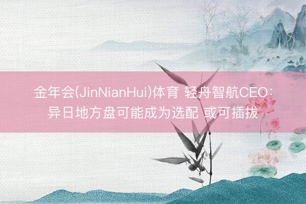 金年会(JinNianHui)体育 轻舟智航CEO：异日地方盘可能成为选配 或可插拔