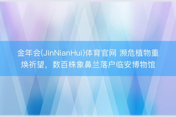 金年会(JinNianHui)体育官网 濒危植物重焕祈望，数百株象鼻兰落户临安博物馆