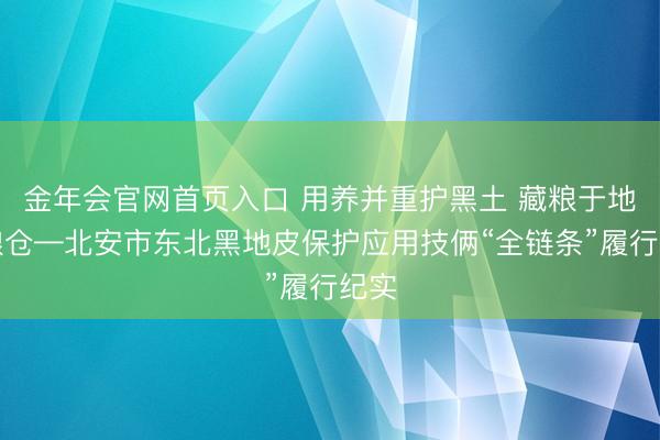 金年会官网首页入口 用养并重护黑土 藏粮于地筑粮仓—北安市东北黑地皮保护应用技俩“全链条”履行纪实