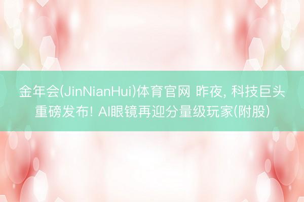 金年会(JinNianHui)体育官网 昨夜, 科技巨头重磅发布! AI眼镜再迎分量级玩家(附股)
