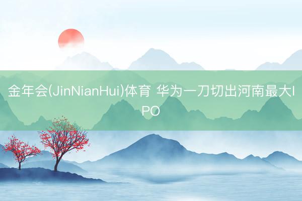 金年会(JinNianHui)体育 华为一刀切出河南最大IPO