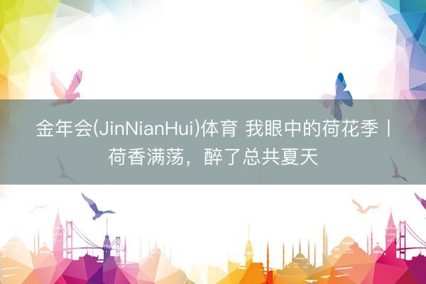 金年会(JinNianHui)体育 我眼中的荷花季丨荷香满荡,醉了总共夏天